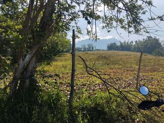 Agricultural Lot 3.8 Hectares in Buenavista, Murcia, Negros Occidental