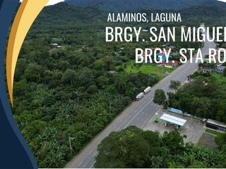LAND PARCELS IN BRGY SAN MIGUEL - BRGY STA ROSA ALAMINOS, LAGUNA