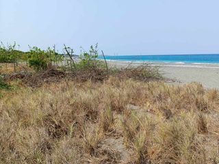 URGENT SALE: PRIME BEACHFRONT PROPERTY IN LA UNION