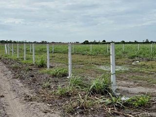 Agricultural Lot 6,600 sqm fully fence with two gates for Sale in La Paz Tarlac City