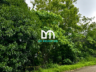 For Sale: Vacant Lot in Mandala Residential Farm Estates 2, Timberland Heights, San Mateo, Rizal