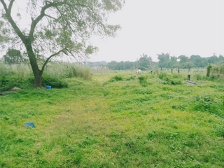 Agricultural Lot for Sale in Capas, Tarlac