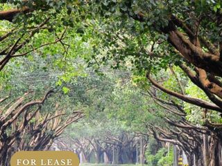 5 BEDROOM FOR LEASE AT DASMARINAS VILLAGE