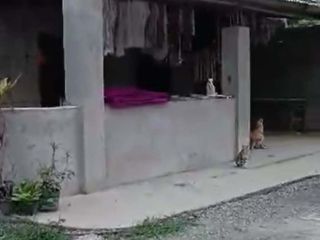 🏠 HOUSE AND LOT FOR SALE – Kinawitnon, Babak, Samal Island