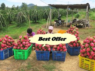 FARM LOT W/FRUIT BEARING TREES & LIVESTOCK for Sale in Batangas Philippines