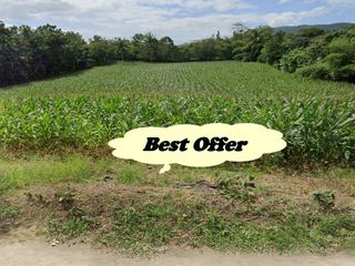 RUSH! FARM LOT FOR SALE in Batangas Philippines