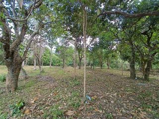 RESIDENTIAL FARM LOT FOR SALE | PAJO ALFONSO, CAVITE GREEN VALLEY FARM 3