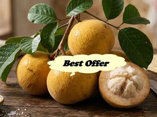 FARM HOUSE  W/FRUIT BEARING TREES for Sale in Laguna Philippines