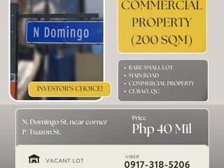 Rare Small Commercial Lot - N. Domingo St. QC