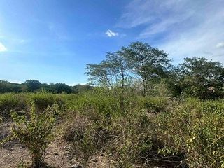 Lot For Lease in Cabuyao Laguna