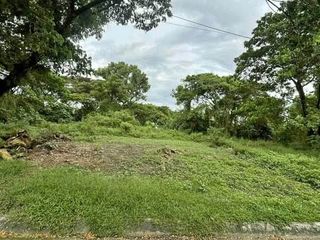 112 sqm Lot for Sale in North Caloocan