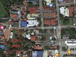 Prime Residential Lot for Sale in Maria Luisa Estate Park, Cebu City