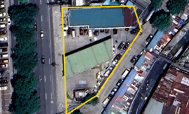COMMERCIAL LOT FOR SALE | ALONG VISAYAS AVENUE
