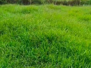 FARM LOT FOR SALE