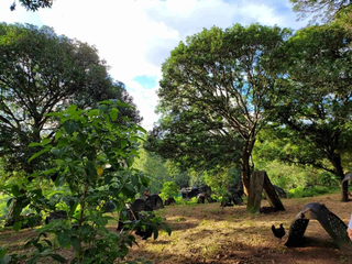 FOR SALE - Agricultural Land in Baras, Rizal