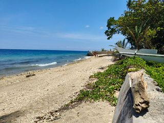 3,257 sqm Beachfront Property for Sale by Owner in Boljoon, Cebu