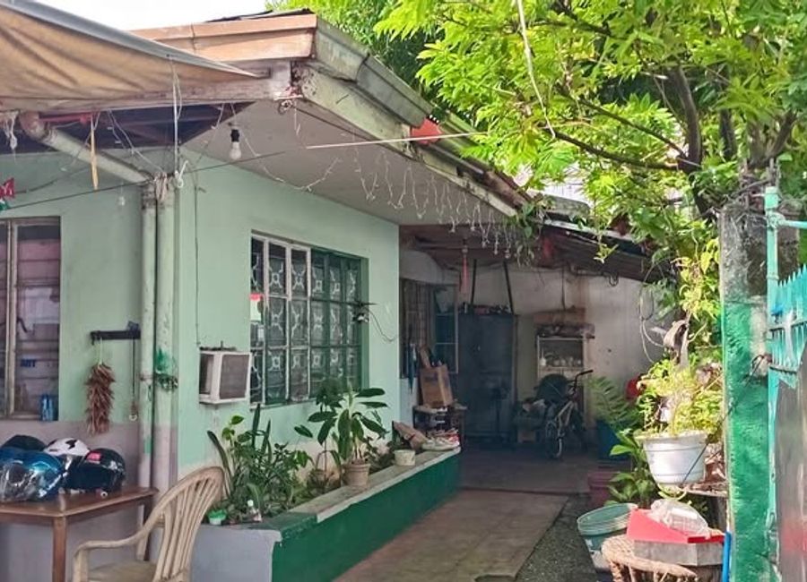 268 sqm Lot with old house for Sale in Pasig City