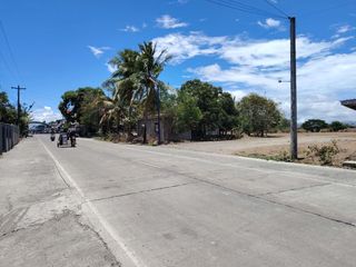 Vacant Lot 39,254 sqm Ideal for Commercial space for sale in Gen. Tinio Neuva Ecija