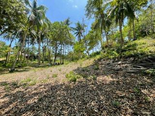 Expansive Lot for Sale in Siquijor SIQ00208