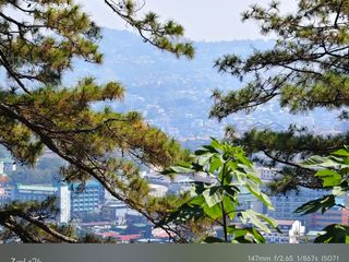 Residential Lot with City View in Baguio City
