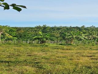 20,000 sqm  Lot for Sale in Tanauan Batangas