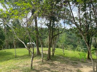 28,000 sqm Farm Lot for Sale in Tanauan Batangas