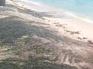 Cebu SAmboan Beach Property