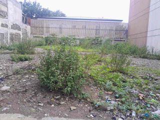 Commercial Lot For Sale along Antonio Arnaiz Avenue, Makati City