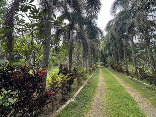 FARM FOR SALE: 2.5 Hectare Gated Farm Land with Houses, Zoo, and Event Hall in Santo Tomas, Batangas