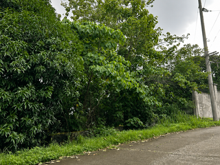 RUSH SALE: Lot with View Mandala 2 Farm Estate, Timberland Heights, San Mateo, Rizal
