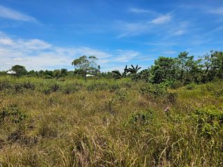 4,871 SQM LOT FOR SALE – M. ROXAS, TRINIDAD, BOHOL