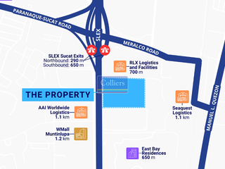 Industrial Lot for Lease or Build-to-Suit in Sucat, Muntinlupa
