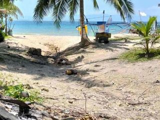 Badian Cebu beach lot for sale