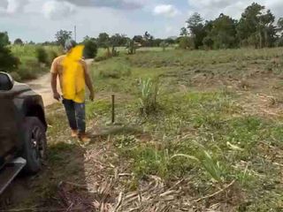 PRIME CORNER LOT FOR SALE IN TUY, BATANGAS