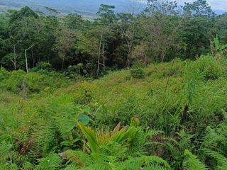18-hectares farm lot for sale