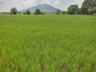 Lot For sale