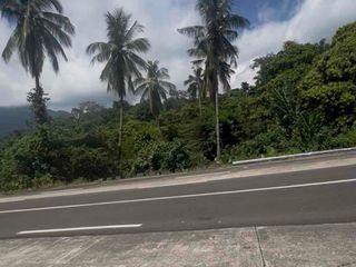 Prime Palawan Beach Lot with farm