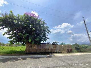 Bank-Foreclosed Residential Vacant Lot at Parco Royale De Alaminos Subd. Brgy Poblacion III, Alaminos, Laguna