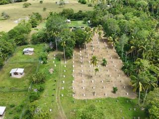 🏢 COMMERCIAL LOT FOR SALE – Mambago-A, Babak, Samal Island