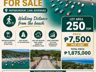 Beach Lot For Sale 250 sqm Walking Distance to Matabungkay beach.