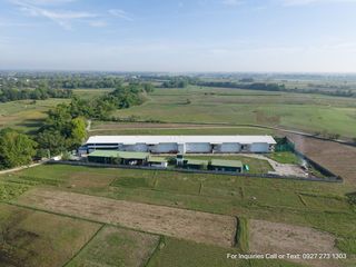 🏆 FOR SALE: Modern 99,000 Big Bird Capacity Tunnel Ventilated Broiler Poultry Farm Tarlac