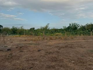 FOR SALE: AGRICULTURAL LAND