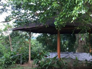Farm Lot for Sale 8 hectare Farm in Tanauan Batangas