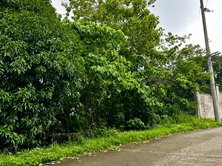 For Sale: Vacant Lot in Mandala Residential Farm Estates 2, Timberland Heights, San Mateo, Rizal