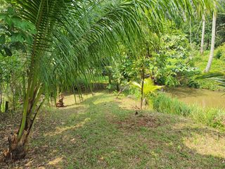 Farm Lot for Sale at Paete Laguna