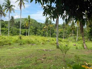 Affordable Farmlot For Sale in Tubod Dugoan Dumanjug