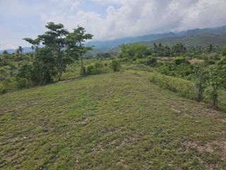 22,704 sqm clean title for sale overlooking in Badian Cebu Philippines 200 pesos per sqm