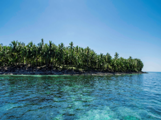 Prime Oceanfront Land for Sale Daku Island, Siargao, Philippines