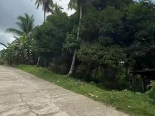 🏡 1 Hectare RESIDENTIAL LOT FOR SALE – San Roque, Acacia, Davao City
