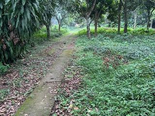 For Sale: 1.2 Hectares vacant lot Calauan, Laguna